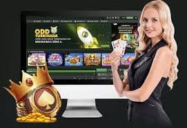 open8808 com